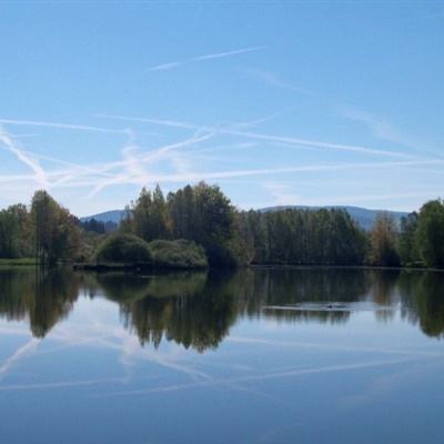 云开·全站APPkaiyun官网截图